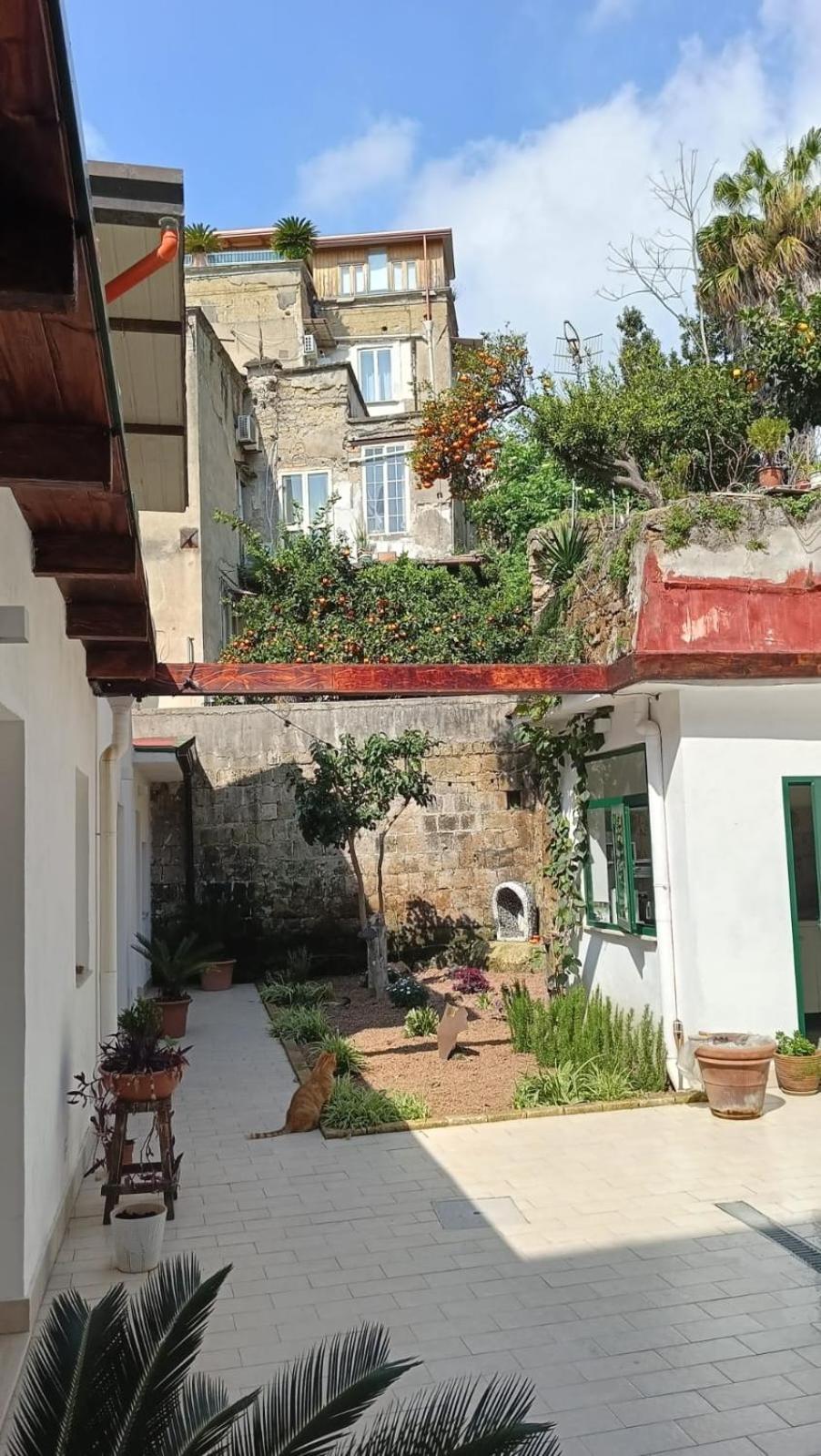 La Puteca Bed and Breakfast Νάπολη Εξωτερικό φωτογραφία